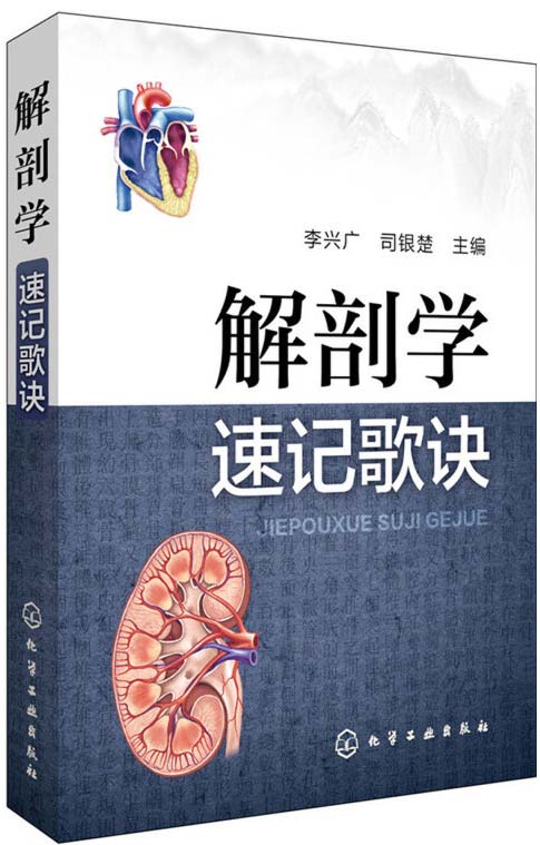 解剖学速记歌诀 以精炼的歌诀形式概括解剖学精要